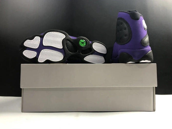 Air DJ5982-015 Retro  Court Purple 13 Jordan 0114